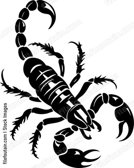 Small Scorpion