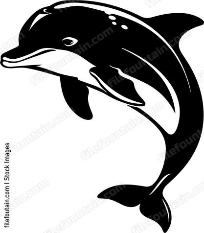 Smiling Dolphin