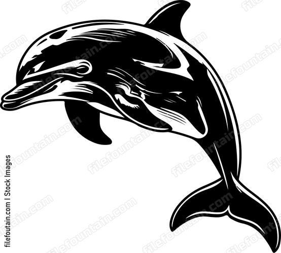 Smiling Dolphin