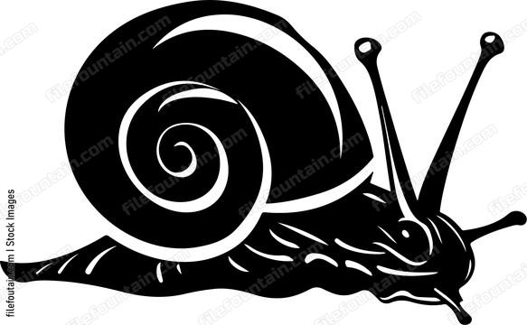 Snail Front View