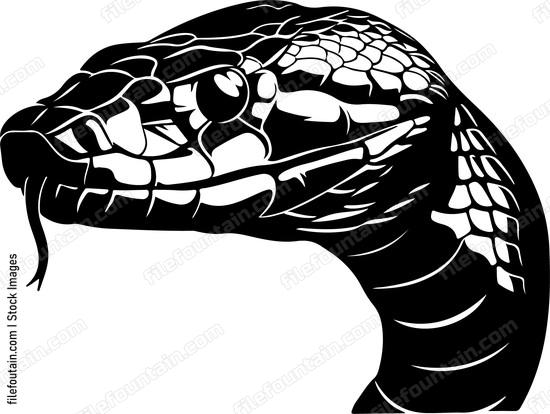 Snake Head