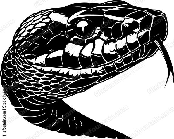 Snake Head Mascot