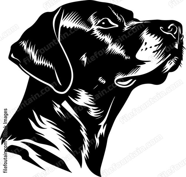 Sniffing Dog