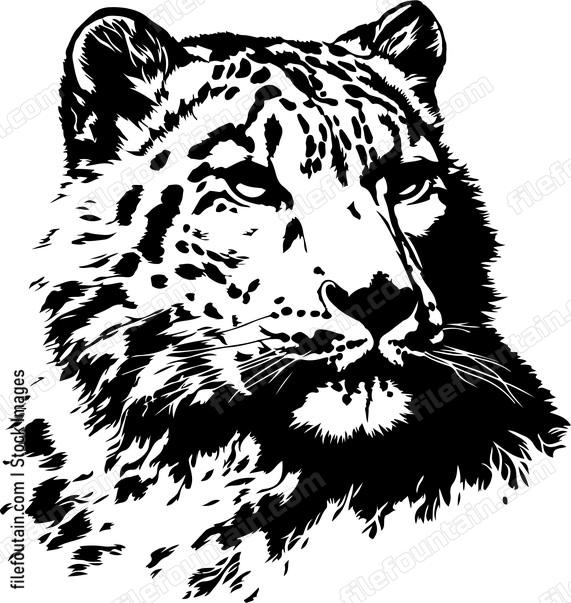 Snow Leopard