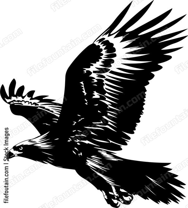 Soaring Eagle