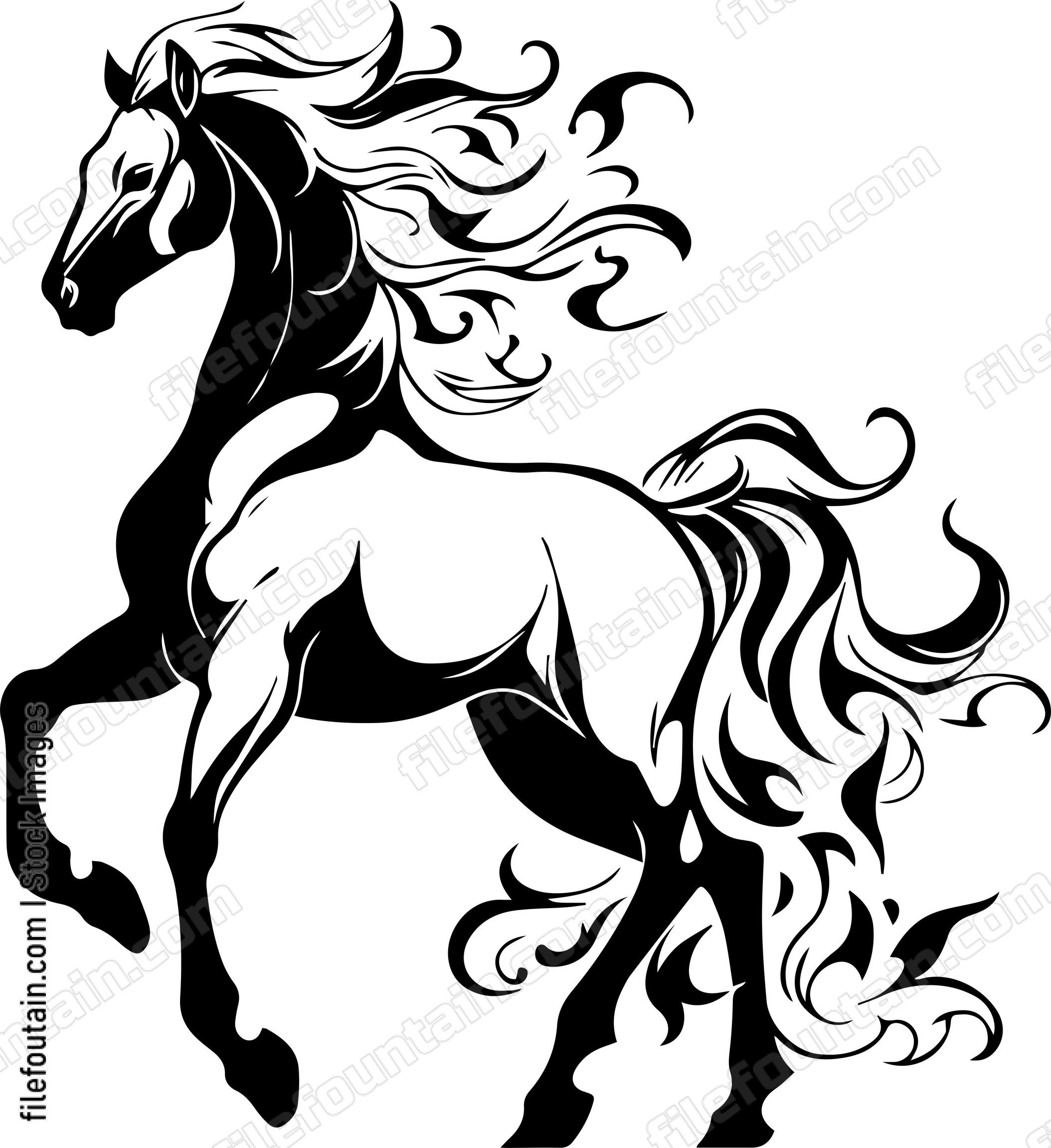 stallion