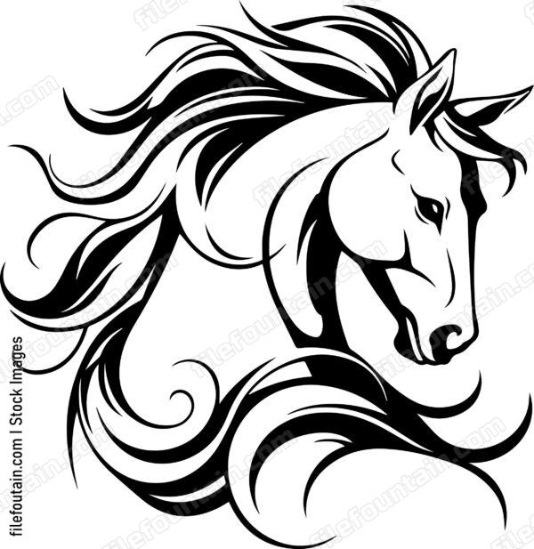 stallion