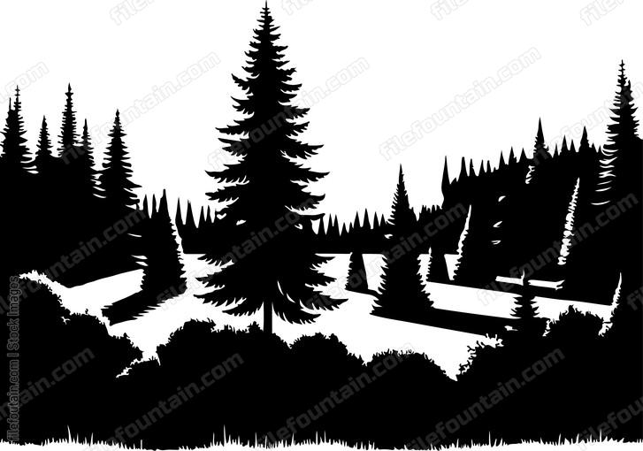 Taiga Landscape