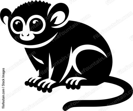 Tarsier