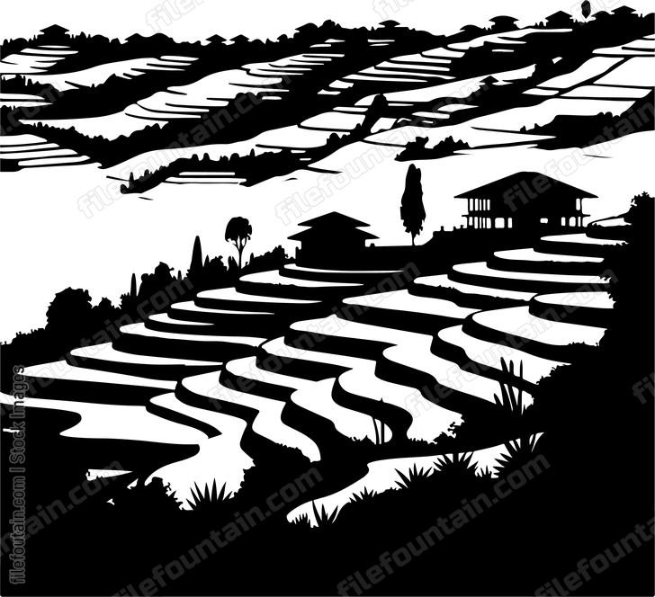 Terrace Landscape