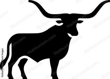 Texas Longhorn