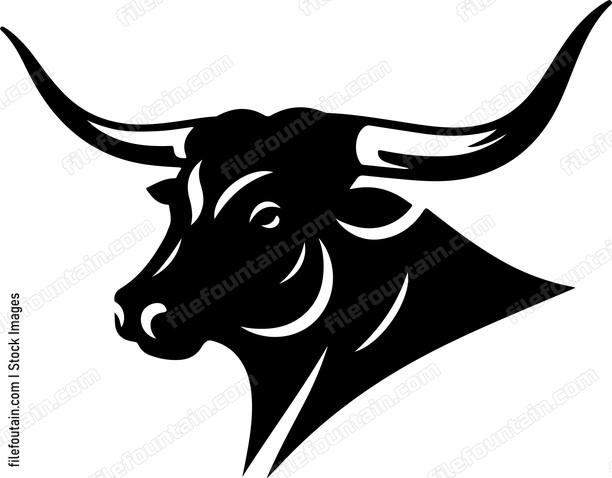 Texas Longhorn