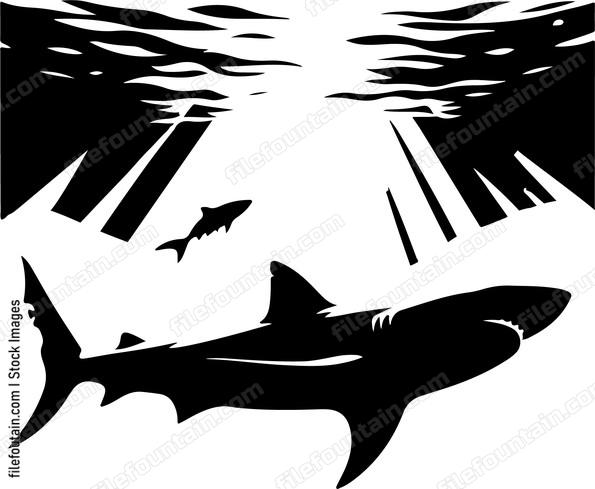 Underwater silhouette of a shark against a sunlit surface