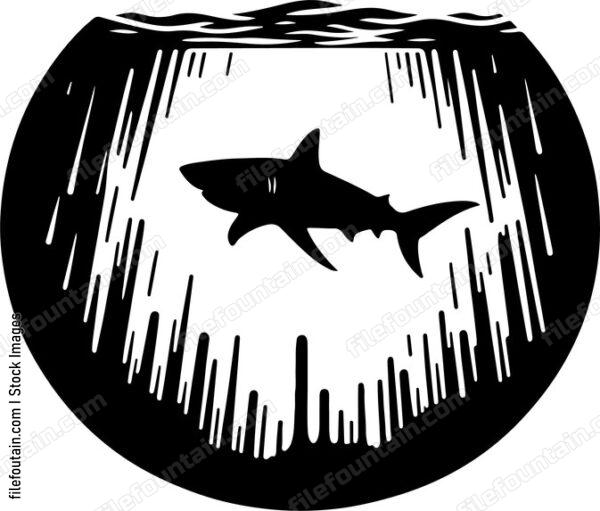 Underwater view of a shark approaching from the depths