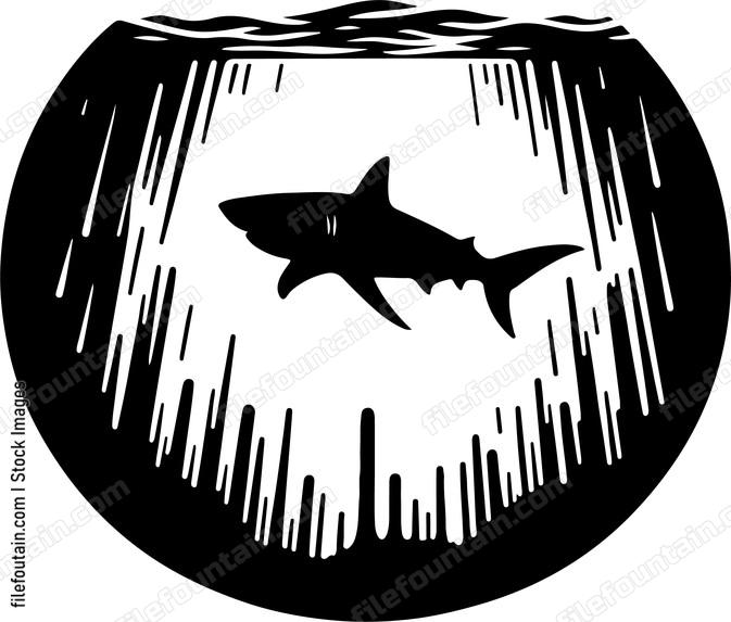 Underwater view of a shark approaching from the depths