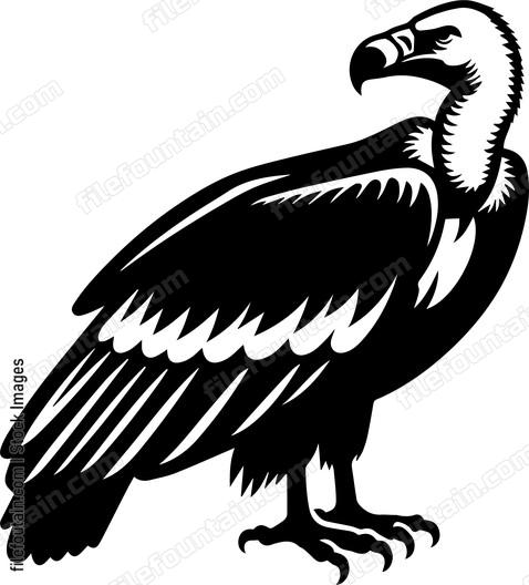 Vulture