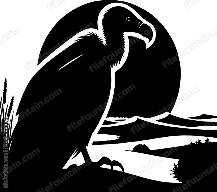 Vulture In Desert