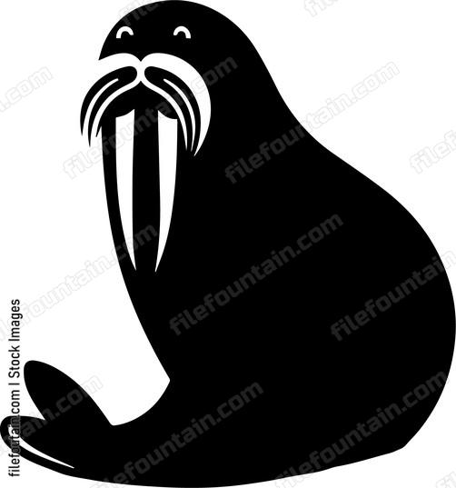 Walrus