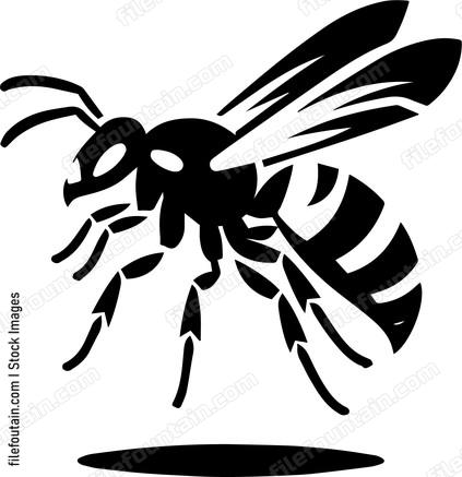 Wasp