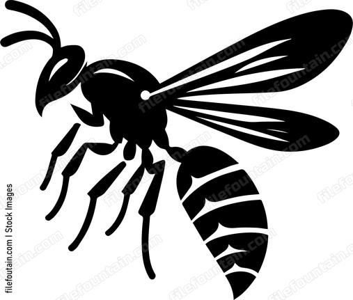 Wasp