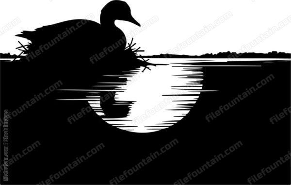 Waterfowl nesting at the edge of the lake undisturbed by the darkness