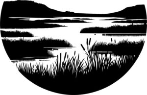 Wetland Landscape