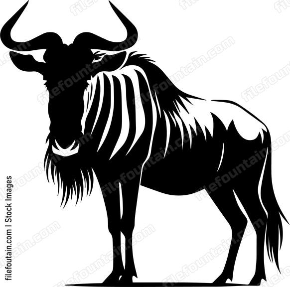 Wildebeest