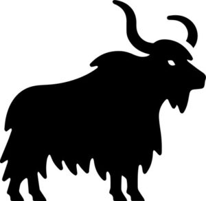 Yak