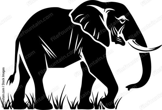 African Elephant
