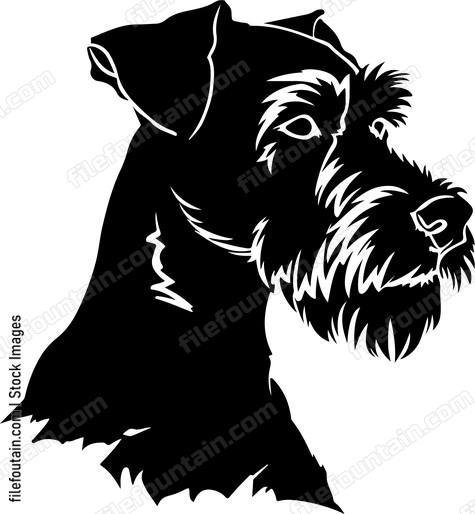 Airedale Terrier