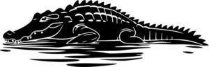 Alligator Swimming