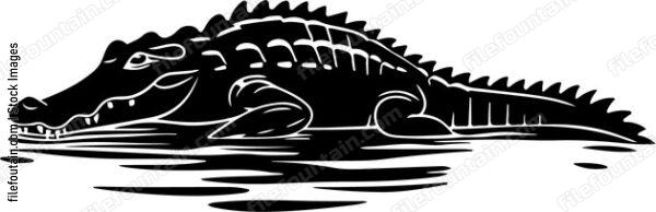 Alligator Swimming
