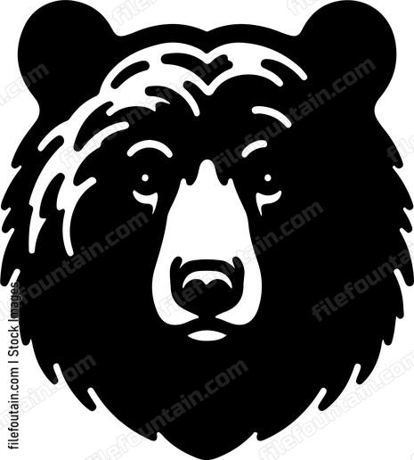 American Black Bear