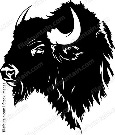 American Buffalo