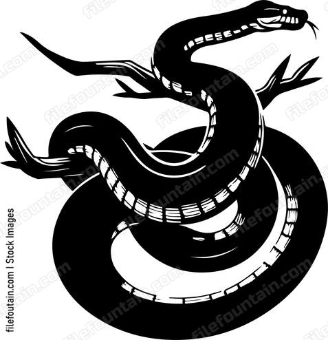 Anaconda coiled around a branch waiting for a passing prey