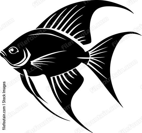 Angelfish