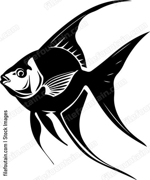 Angelfish