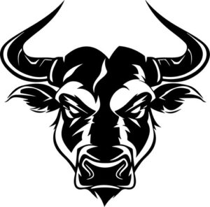 Angry Bull