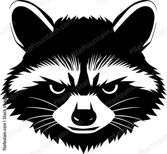 Angry Raccoon