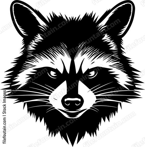 Angry Raccoon