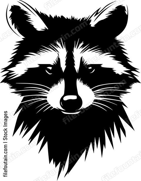 Angry Raccoon
