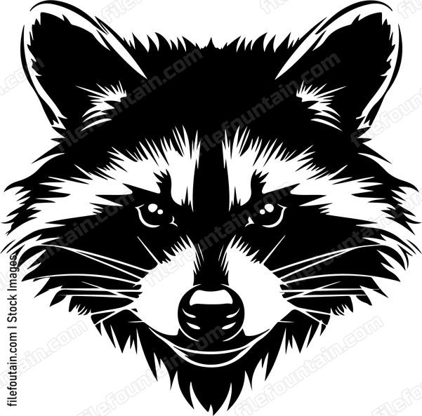 Angry Raccoon