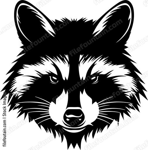 Angry Raccoon