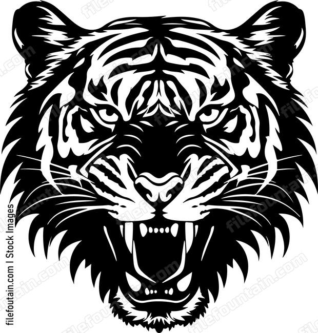 Angry Tiger Hissing