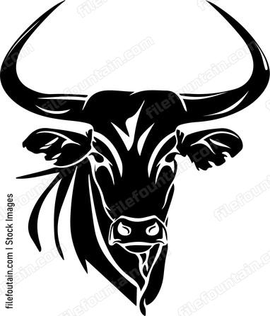 Ankole watusi