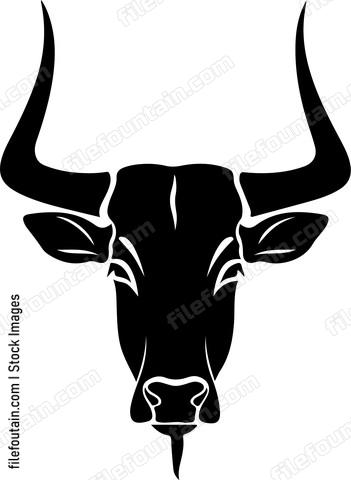 Ankole watusi