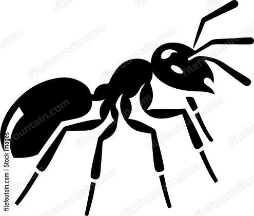 Ant