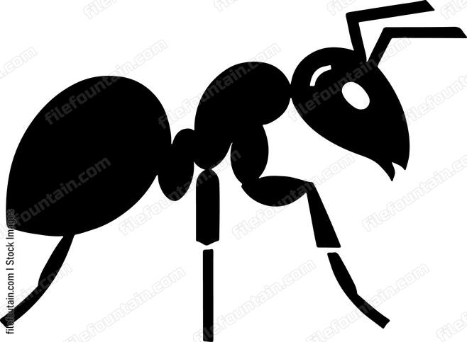 Ant