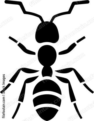 Ant