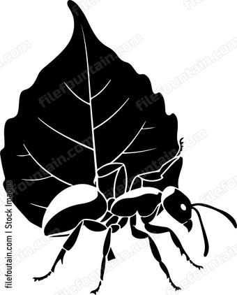 Ant Carrying Leaf